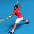 Fernando Verdasco