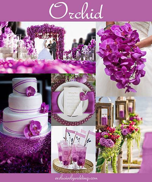 orchid_wedding_color.jpg