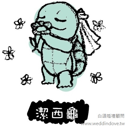 潔西龜.jpg 潔西龜.jpg