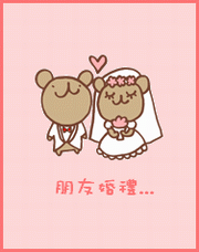 用單眼相機-紀錄完美婚禮