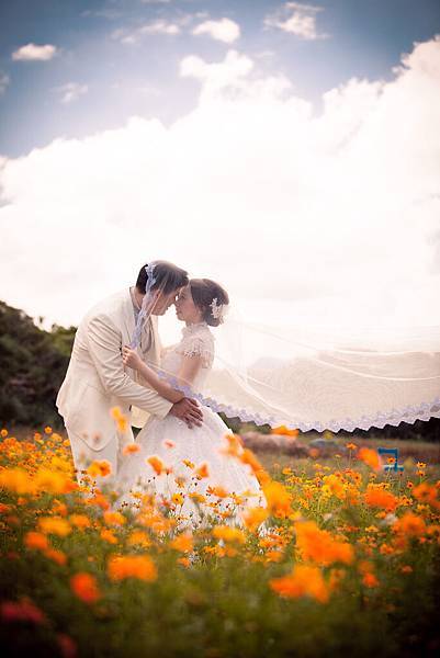 玲&志-台北自助婚紗攝影工作室-感謝新人選擇伊頓婚紗