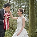 台灣婚紗攝影:森林系婚紗