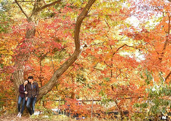 NADRI STUDIO KOREA PRE WEDDING STUDIO PACKAGE (16).jpg