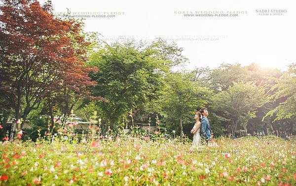 NADRI STUDIO KOREA PRE WEDDING STUDIO PACKAGE (59).jpg