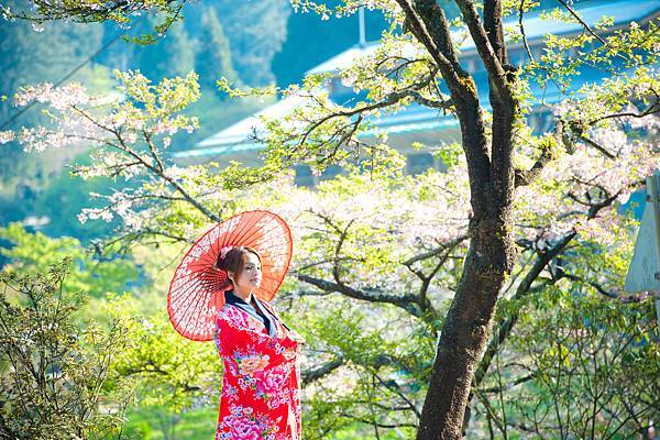 【藝術照】【高雄】感謝Lili選擇與推薦