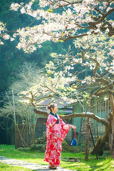 【藝術照】【高雄】感謝Lili選擇與推薦