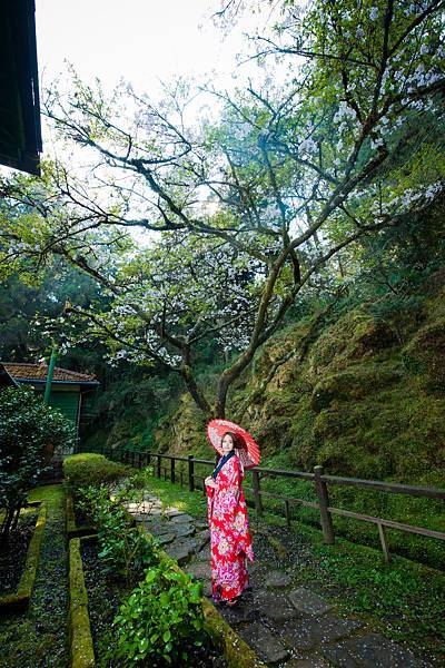 【藝術照】【高雄】感謝Lili選擇與推薦