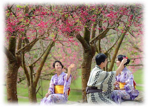 自助婚紗/相本美編