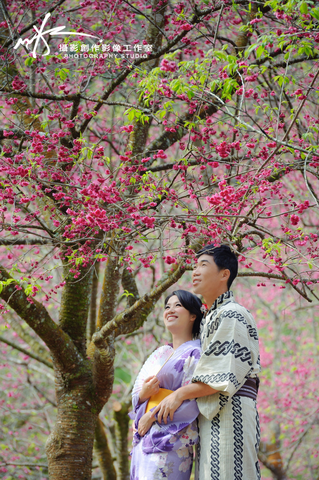 自助婚紗婚紗照-櫻花季-感謝榮輝&佳音推薦