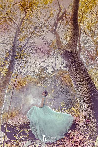 老英格蘭婚紗攝影,老英格蘭婚紗包套,清境婚紗景點,自助婚紗工作室,自助婚紗推薦,自助婚紗價格,自助婚紗高雄,自助婚紗 高雄,自助婚紗南部,自助婚紗 南部,高雄 自助婚紗,高雄自助婚紗,自助婚紗 推薦