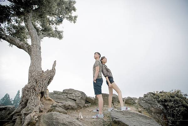 老英格蘭拍婚紗,拍婚紗,清境 老英格蘭,老英格蘭婚紗攝影,老英格蘭婚紗包套,清境婚紗景點,老英格蘭莊園婚宴,老英格蘭費用