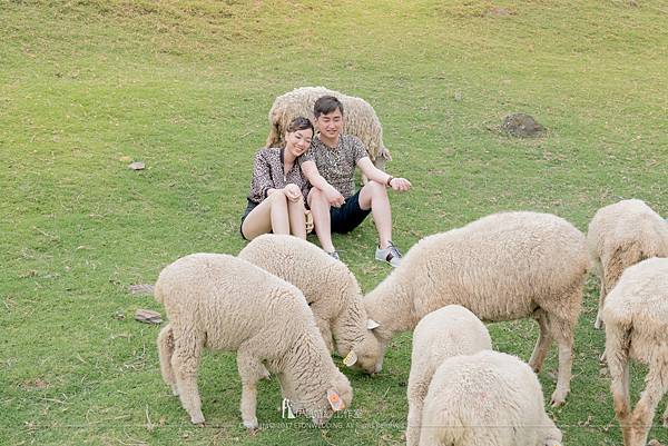老英格蘭拍婚紗,拍婚紗,清境 老英格蘭,老英格蘭婚紗攝影,老英格蘭婚紗包套,清境婚紗景點,老英格蘭莊園婚宴,老英格蘭費用,老英格蘭pre wedding,老英格蘭莊園拍照,清境婚紗攝影,清境農場婚紗,老英格蘭莊園參觀