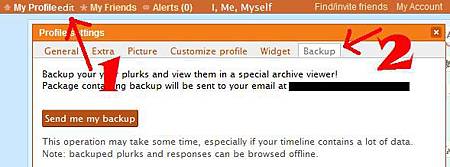 plurk_backup.JPG