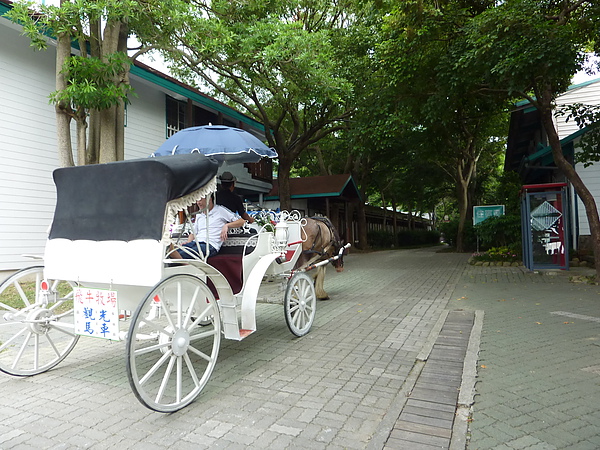 飛牛馬車.JPG