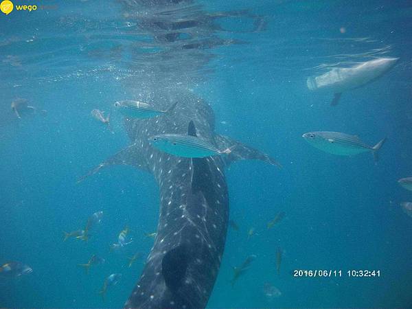 1465657211733.jpg 1465657211733.jpg