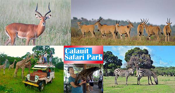 菲律賓 非洲動物園.jpg 卡拉伊特島國家公園Calauit Island National Park.jpg