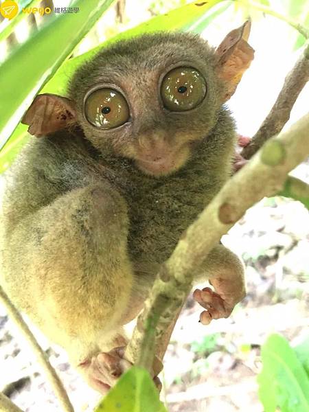 20161108_1324.jpg 20161108_1324.jpg