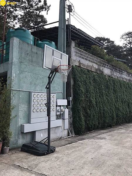 S__2138804.jpg S__2138804.jpg