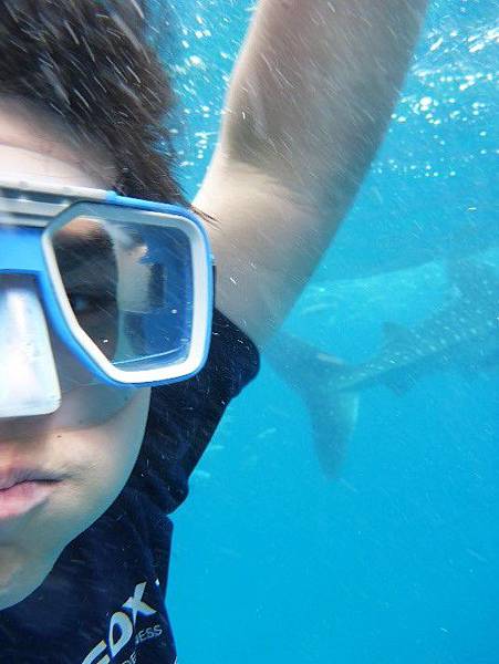 Winning 4.jpg Winning 4.jpg