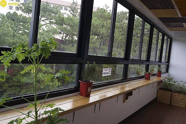 Wego美麗大學姊在碧瑤遊學心得8.jpg Wego美麗大學姊在碧瑤遊學心得8.jpg