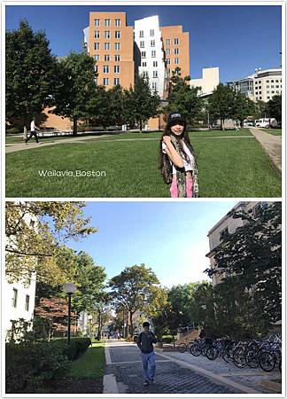 IMG_3699_meitu_7.jpg