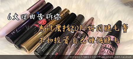 6大理由告訴你為什麼找2019好用睫毛膏，不如投資自己種個自然洋娃娃睫毛｜台北東區美睫 (1)V.jpg