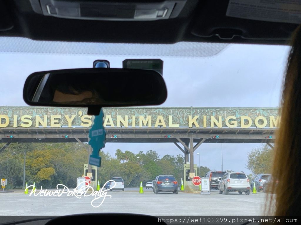 奧蘭多迪士尼交通停車篇｜Florida Disney Magic Kingdom距離與Disney Epcot ,Animal Kindom%26; Hollywood studios分別停車費用經驗分享28.jpg