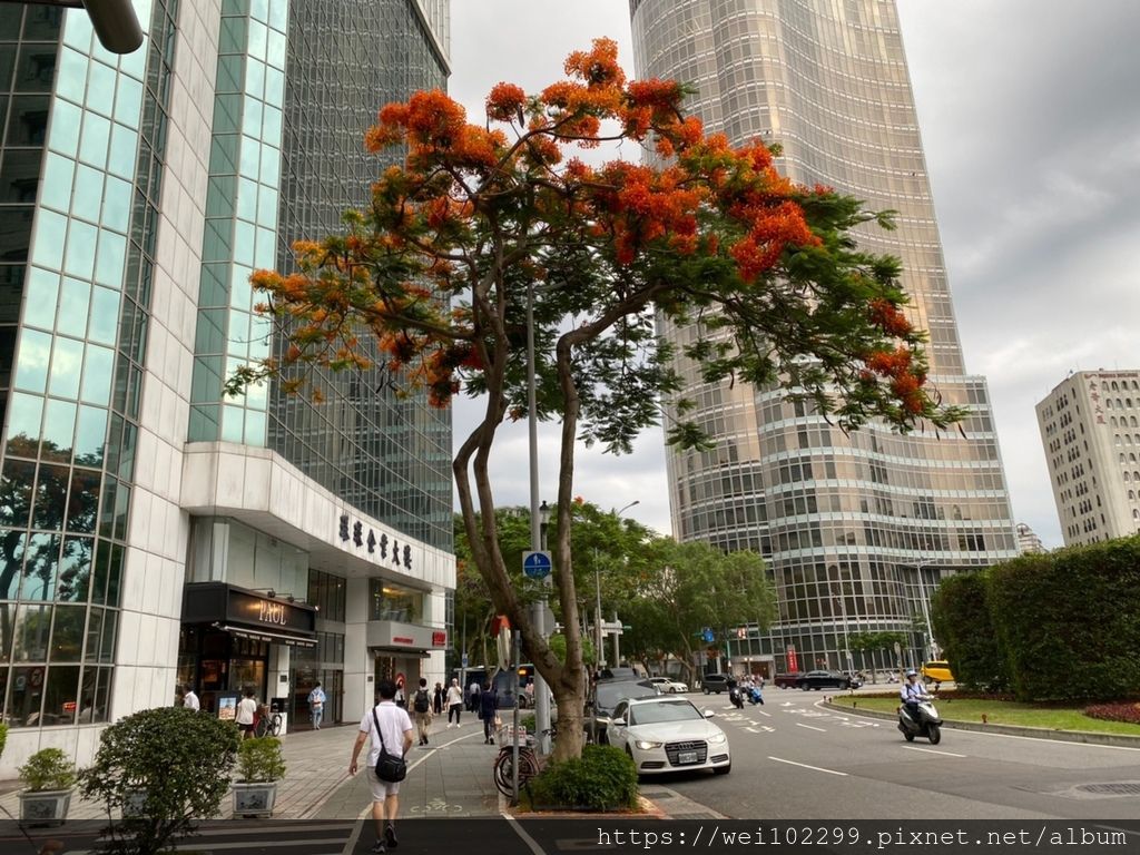 台北浪漫晚餐 忠孝復興仁愛圓環美食paul法國家常料理平價豪華雙人套餐氣氛好食物好吃餐廳 外燴精緻餐盒推薦 撲克人妻日常 Weiwei