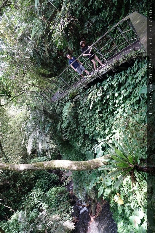 [宜蘭旅遊景點推薦]金車礁溪蘭花園門票價格與餵食動物＆參觀植物園之旅IMG_4293.JPG