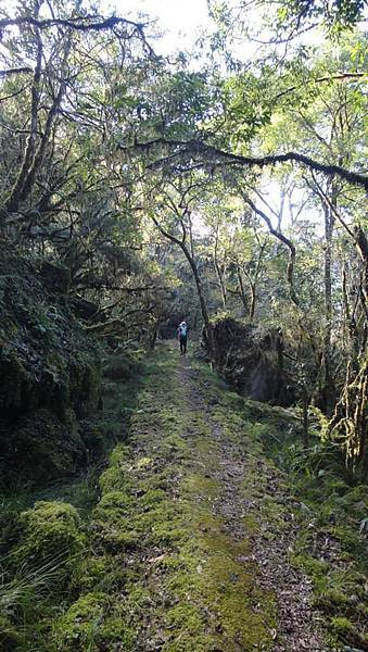 1780741_895381207147789_4135377593058776210_n