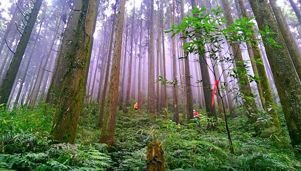 2015-05-09 11.18.09 2015-05-09 11.18.09