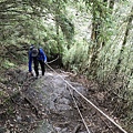 IMG_0208.jpg