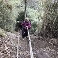 IMG_6741.jpg