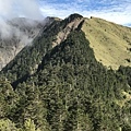 IMG_6756.jpg