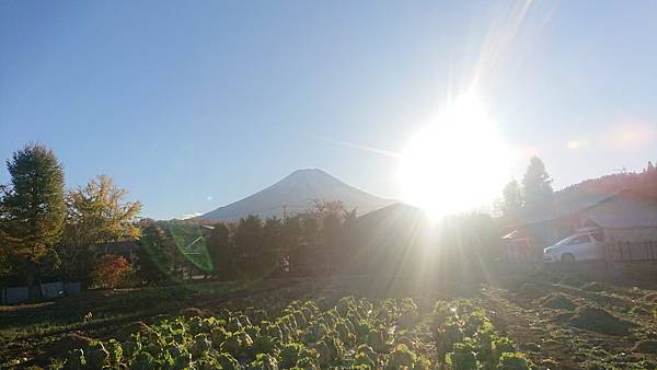 2019_Tokyo_Day03_150.JPG