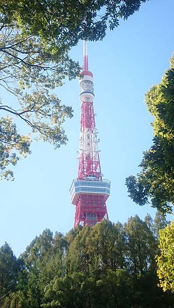 2019_Tokyo_Day05_002.JPG