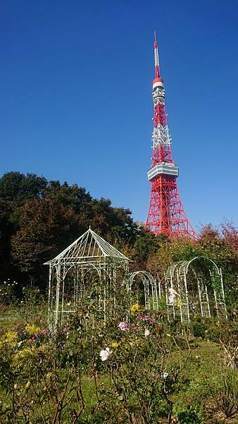 2019_Tokyo_Day05_031.JPG