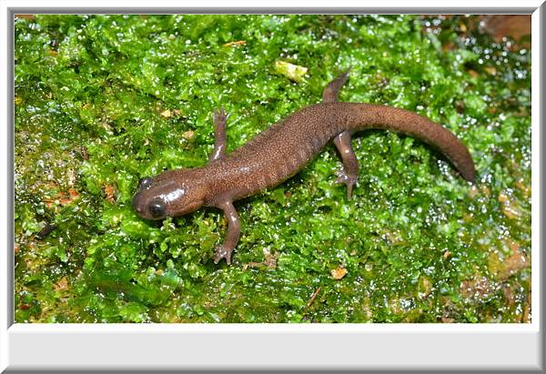 DSC_2337.JPG DSC_2337.JPG