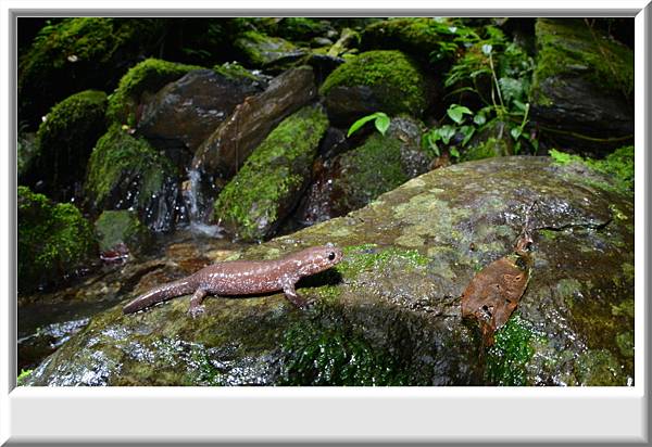 DSC_5625.JPG DSC_5625.JPG