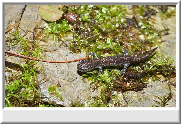 DSC_3972.JPG DSC_3972.JPG