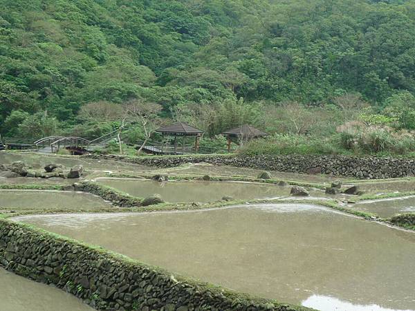 田園風光