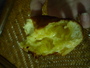 P1000041.JPG P1000041.JPG