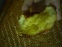 P1000040.JPG P1000040.JPG