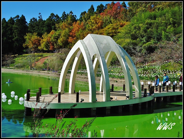 2CDSC00030 (125)_nEO_IMG.jpg 2CDSC00030 (125)_nEO_IMG.jpg