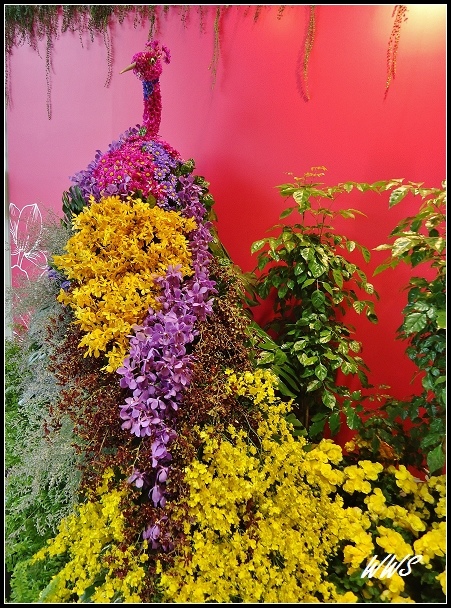 1CYDSC00315 (2)_nEO_IMG.jpg 1CYDSC00315 (2)_nEO_IMG.jpg