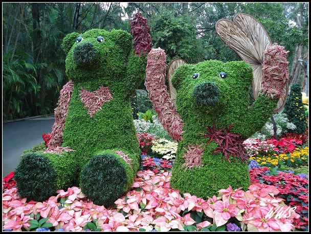 1CYDSC00491 (16)_nEO_IMG.jpg