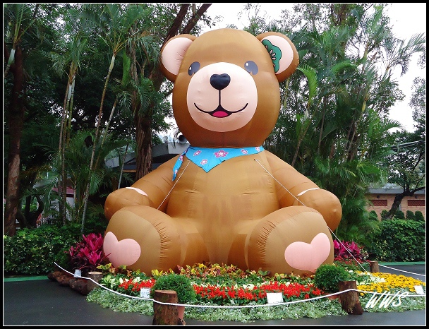 2CYDSC00491 (7)_nEO_IMG.jpg 2CYDSC00491 (7)_nEO_IMG.jpg