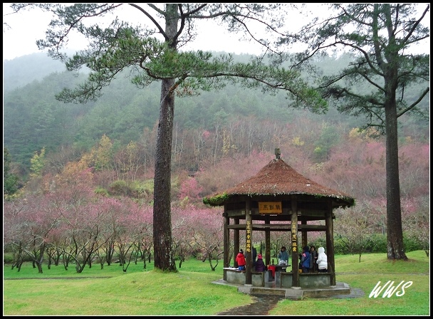 1CYDSC00606 (77)_nEO_IMG.jpg 1CYDSC00606 (77)_nEO_IMG.jpg