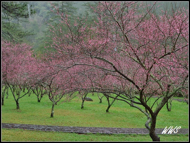 2CYDSC00606 (20)_nEO_IMG.jpg