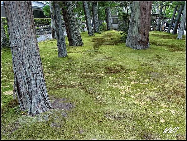 45松島瑞巖寺青苔斑斑